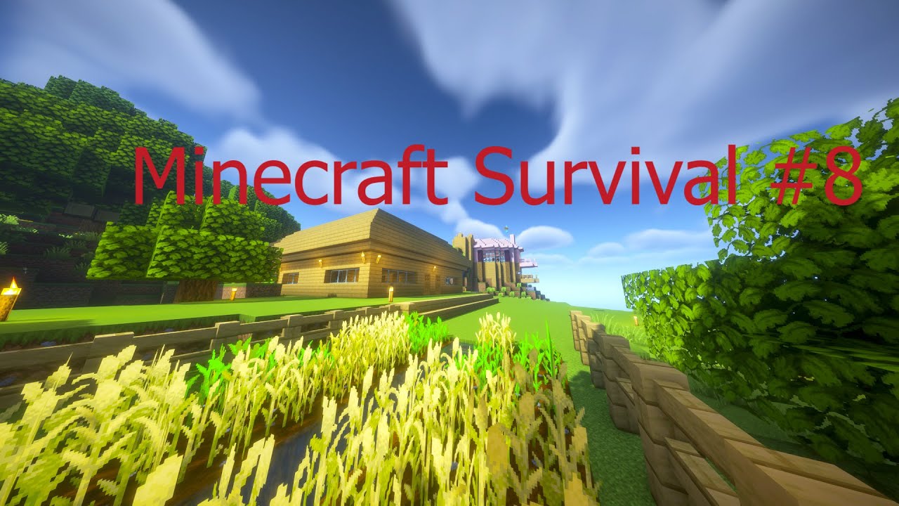 Minecraft Survival Márkal #8