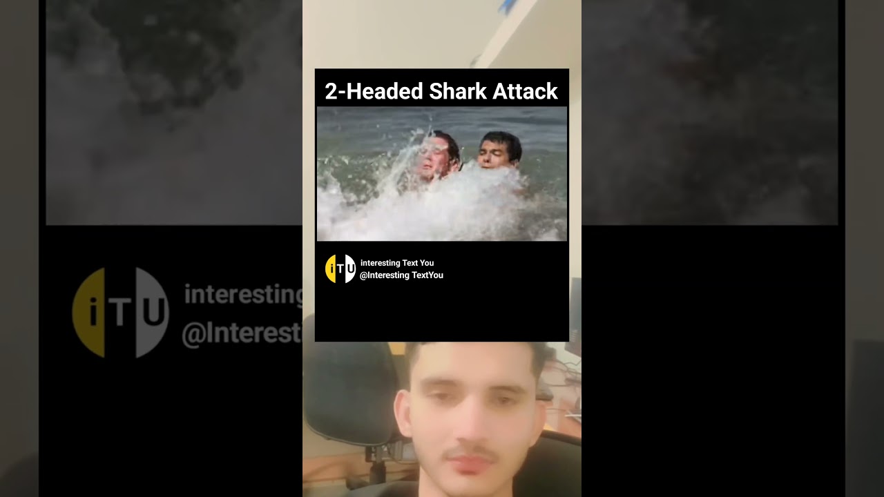 2-Headed Shark Attack is a Masterpiece (Of Trash)