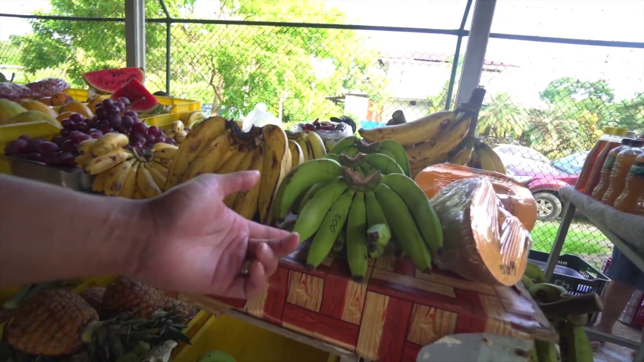 LOCAL MARKET in COSTA RICA