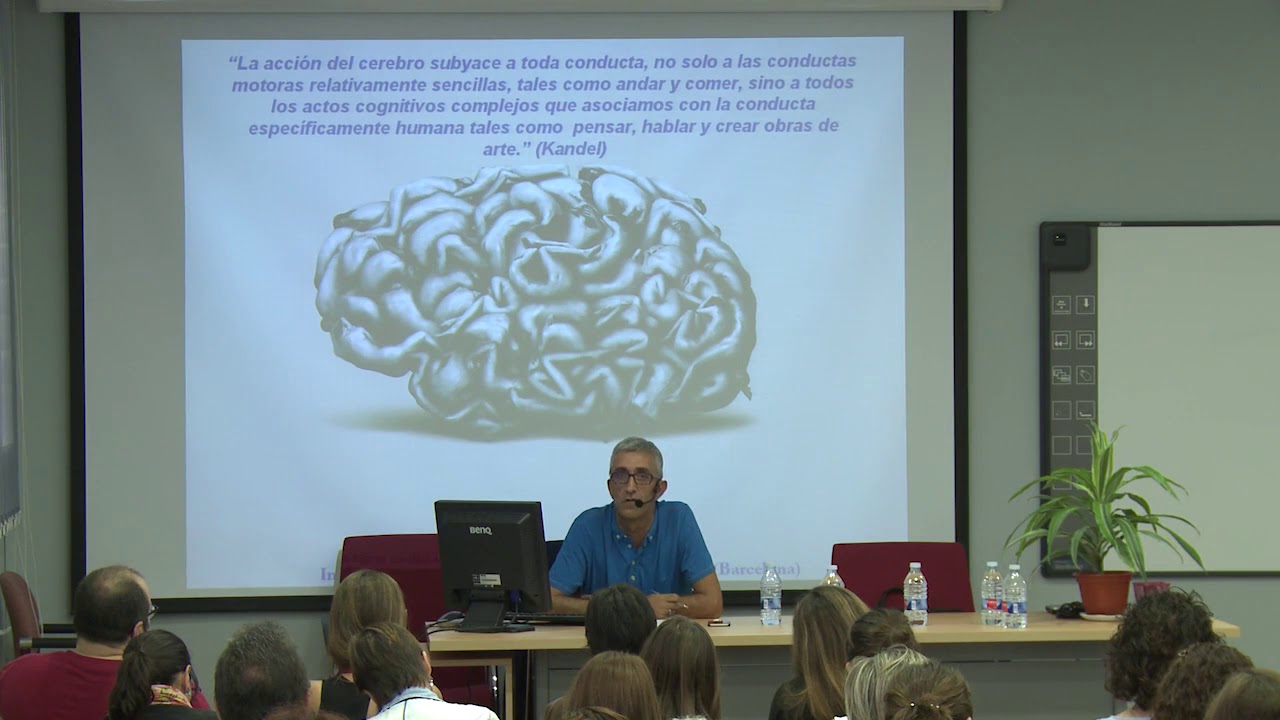Bases Teóricas de los Trastornos del Espectro Autista