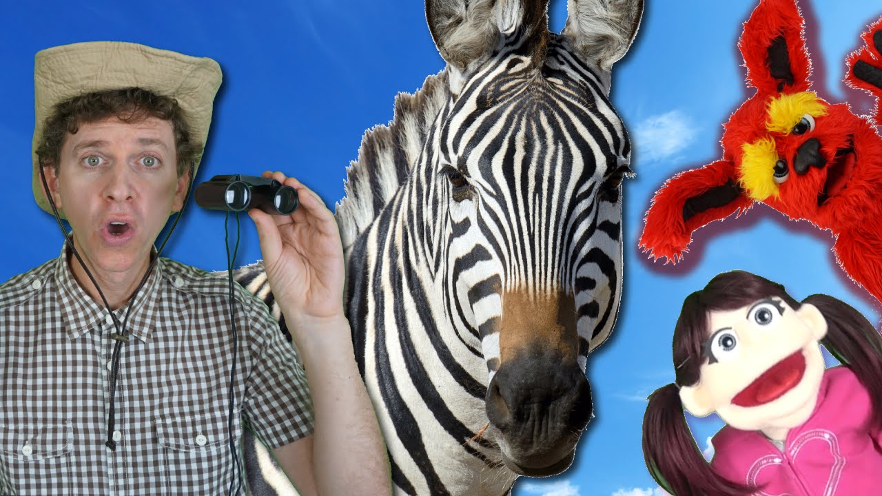First Words #2 ZEBRA | Children's Songs | Learn English Kids