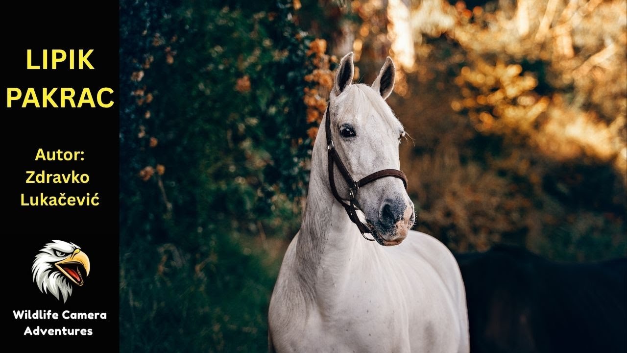 Lipik - Pakrac, autor Zdravko Lukačević