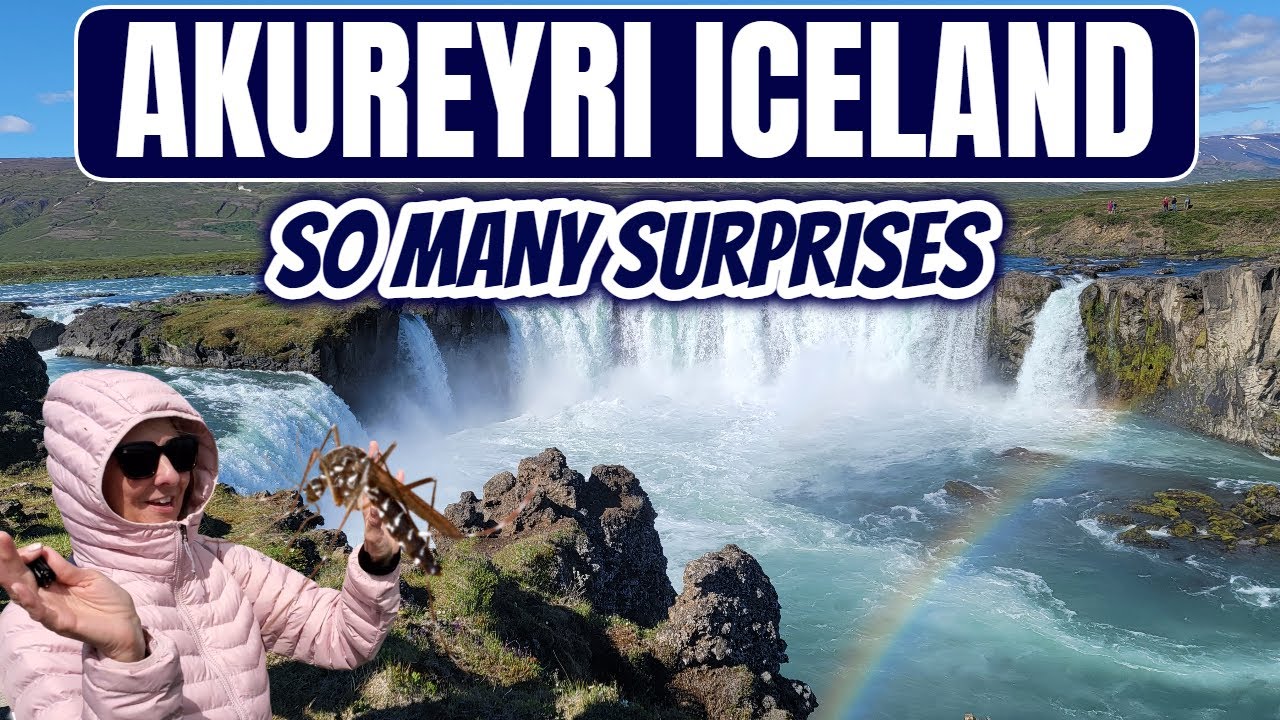 AKUREYRI, ICELAND | Godafoss , Myvatn Nature Baths, Dimmuborgir,  and an Unexpected Attack