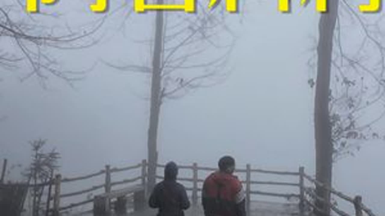 踏入哀牢山脉南部，云南元阳阿者科村 #隐藏在大山里的世外桃源 #古村落里的慢生活 #老印露游记 #云雾缭绕人间仙境 #我的打卡足迹
