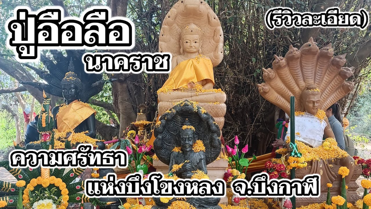 ไหว้ปู่อือลือนาคราช บนเกาะดอนโพธิ์ กลางบึงโขงหลง จ.บึงกาฬ | รีวิวละเอียด!! แนะนำการไหว้ขอพร