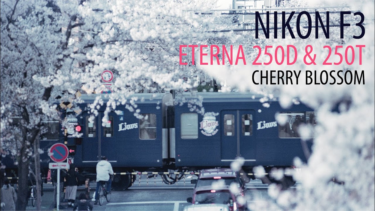 SAKURA 2022 | SHOOT ON FUJI CINE FILM, Nikon F3, Eterna250D & Eterna250T