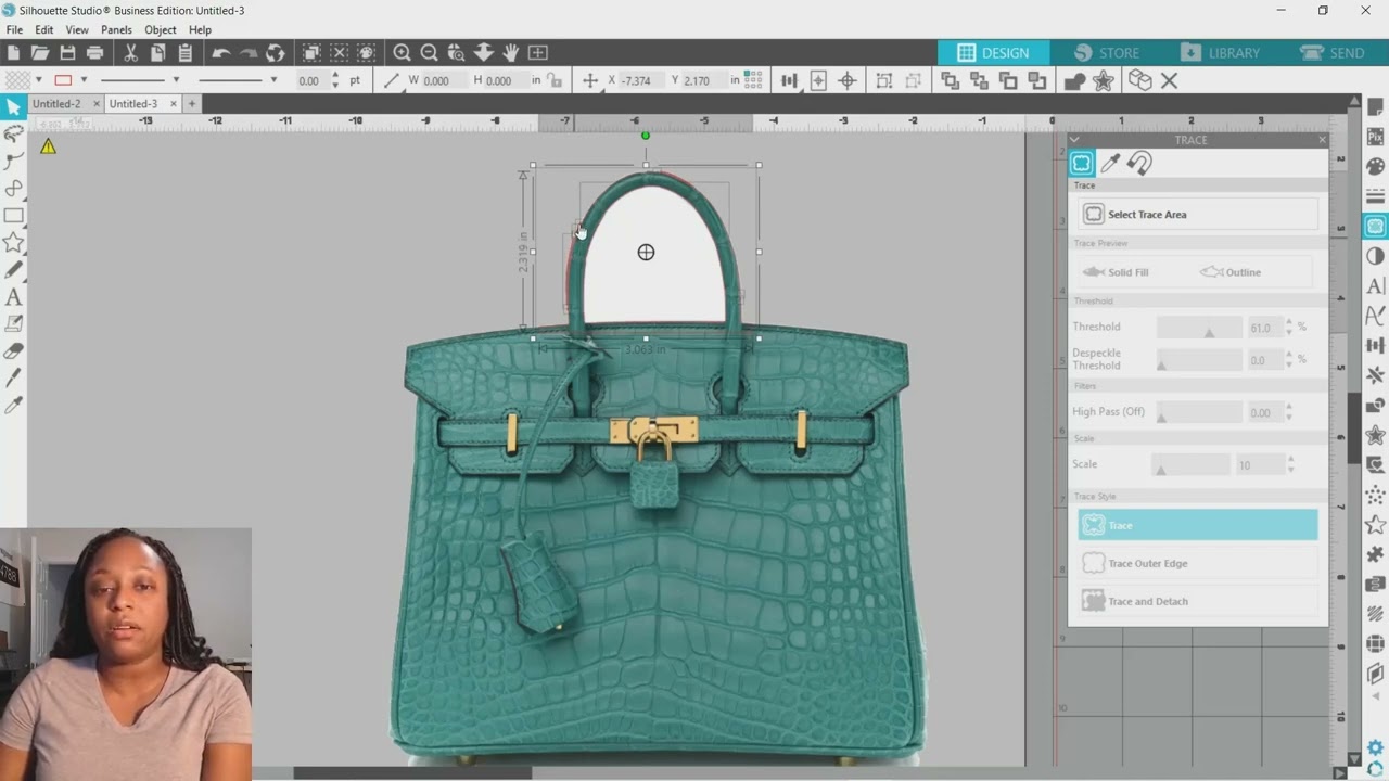Designer Gift Bag Trace & Detach in Silhouette