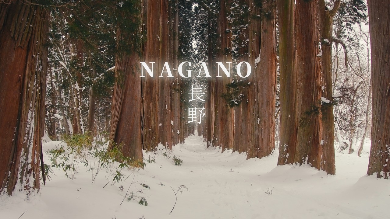 日本長野的冬季絕景｜雪猴、神域與北阿爾卑斯山｜4K Cinematic Film