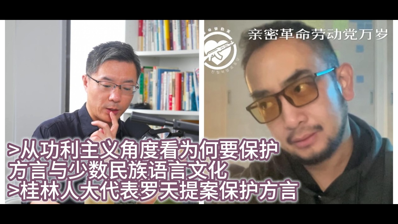 从功利主义角度看为何要保护方言与少数民族语言文化，桂林人大代表罗天提案保护方言｜世界苦茶｜三个水枪手｜伍雷｜贾葭｜李厚辰