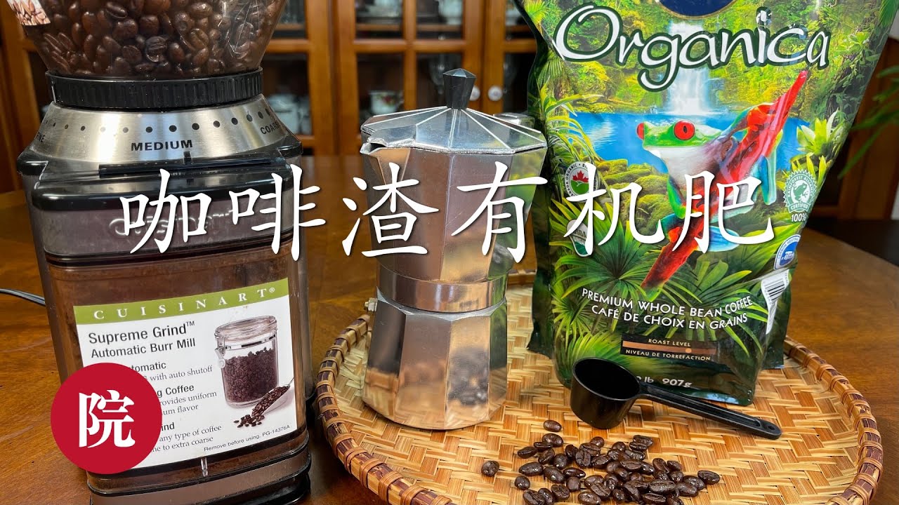 【彬彬有院】种•410如何自制咖啡渣有机肥以及优缺点，注意事项//How to Use Coffee Grounds in Your Garden