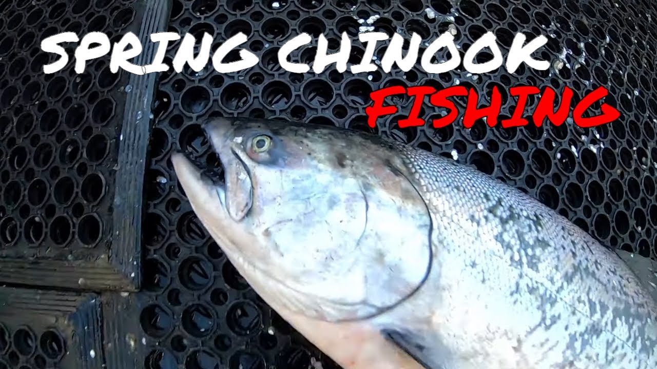 Okuma TROLLING RODS for West Coast SALMON