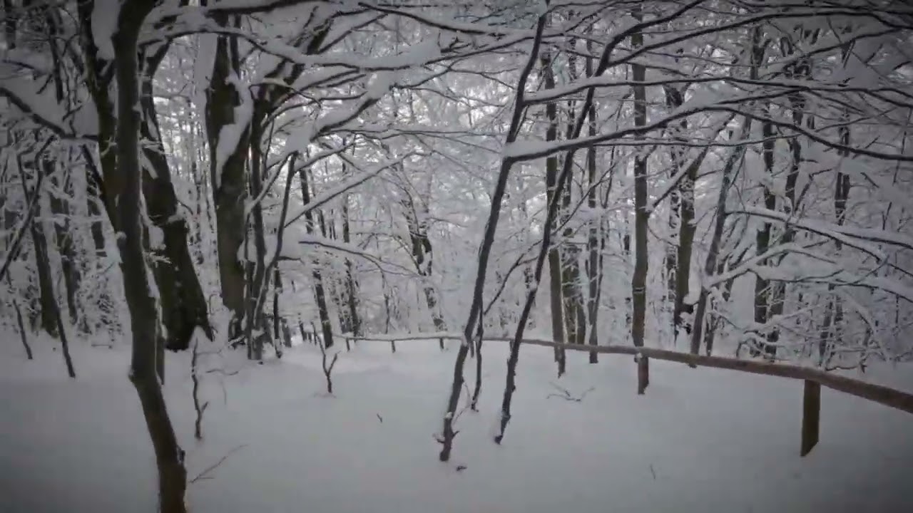 Połonina Wetlińska #mountains #bieszczady #zima #winter 