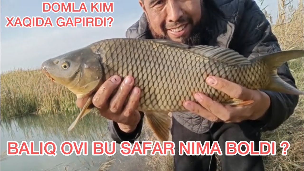 DOMLA BALIQ OVIDA | KIM XAQIDA MAVIZA QILDI