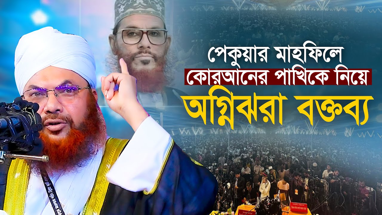 আল্লামা সাঈদীকে নিয়ে অগ্নিঝরা বক্তব্য দিলেন কামরুল ইসলাম সাঈদ আনসারী kamrul islam sayed ansari