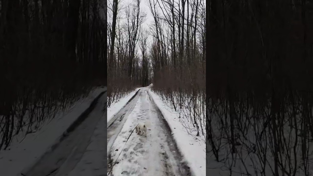 Какие риски и безопасность дома возможны? 2 часть и пару приколов из практики 😉