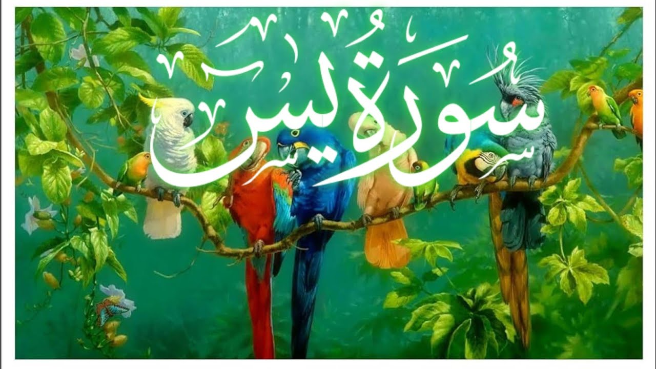 surah yasin yaseen part 1 by sheikh abdur-rahman as-sudais_full_hd_36سورۃ_یس(360p).mp4