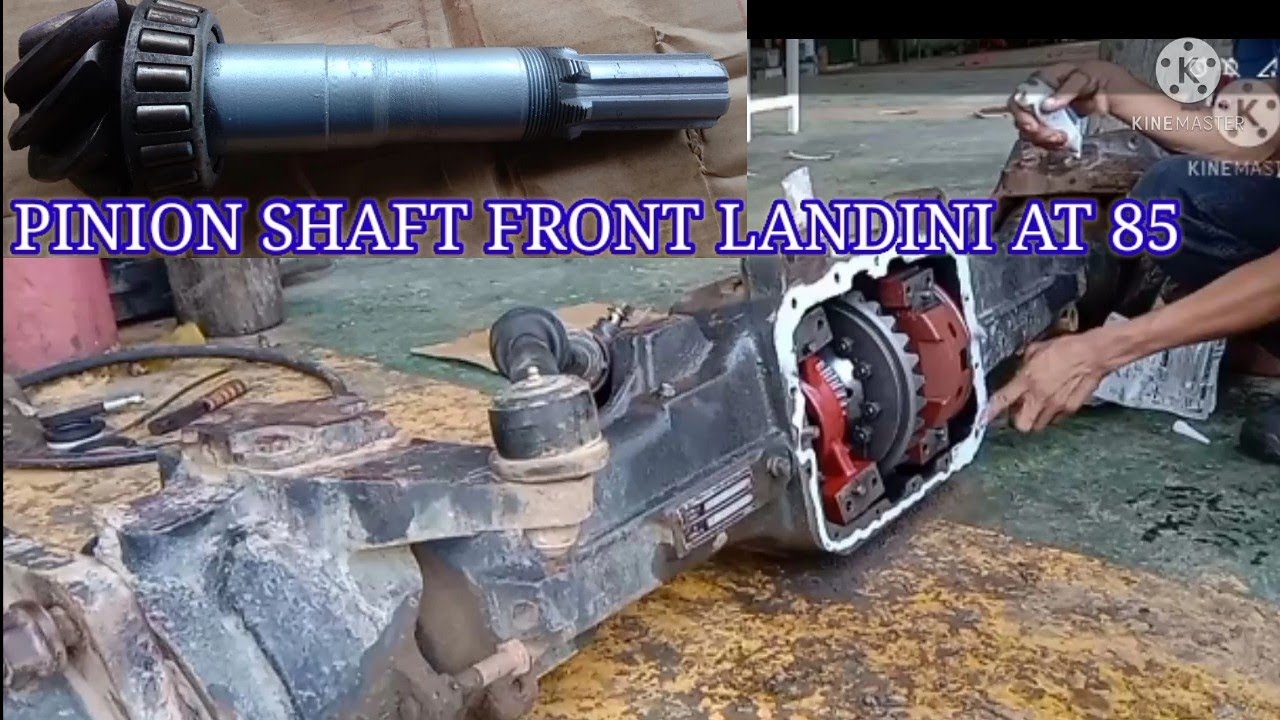 Pinion shaft front make installation landini DT85