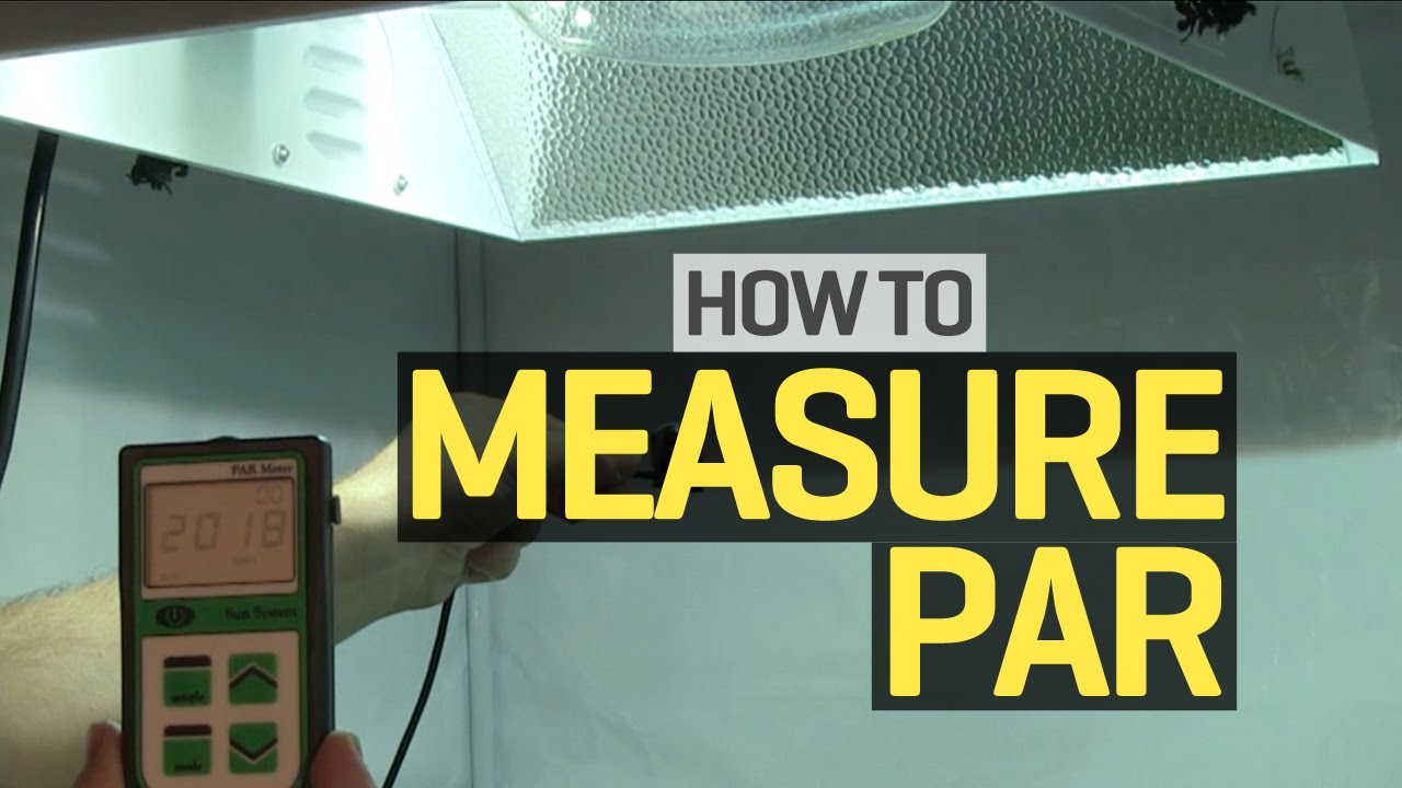 How to use a PAR meter to measure light levels in your grow room