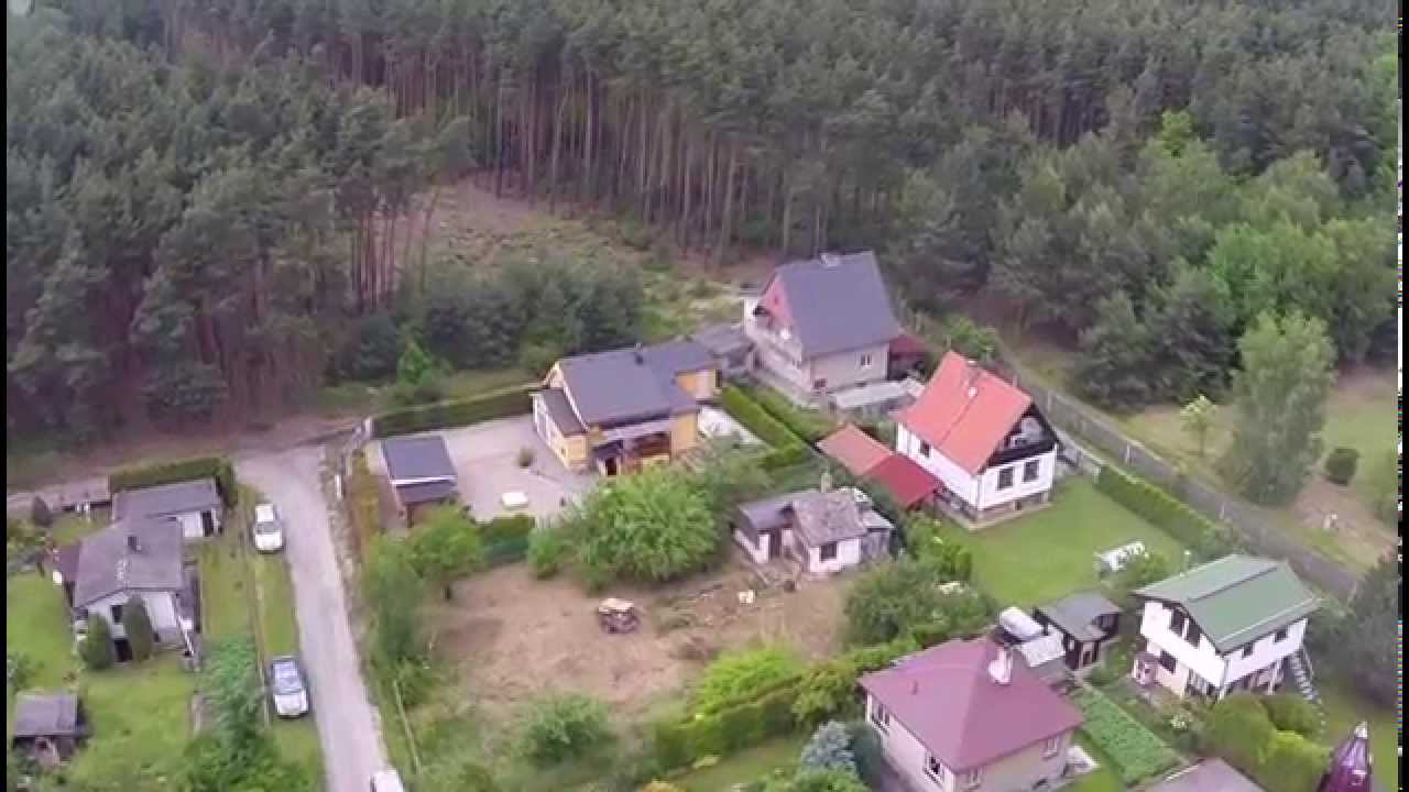 Valcha
