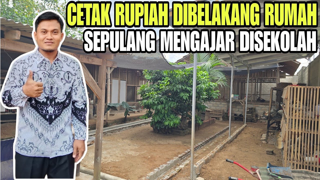 KEREN‼️PAK GURU SUKSES TERNAK AYAM KAMPUNG MODERN💯