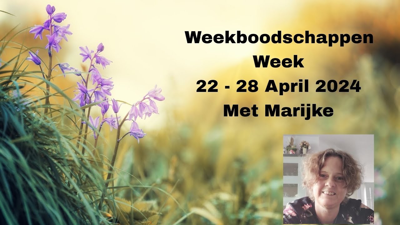 Weekboodschappen van de engelen per sterrenbeeld + keuzekaartjes 💖😇🙏