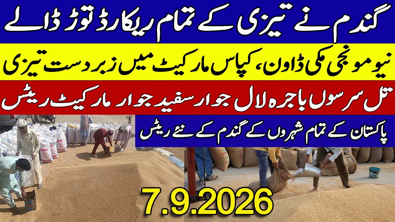 New Gundan Munji Rates 2026 || New Dhan Till Sarson Rates ||Galla Mandi Rates Today 2026