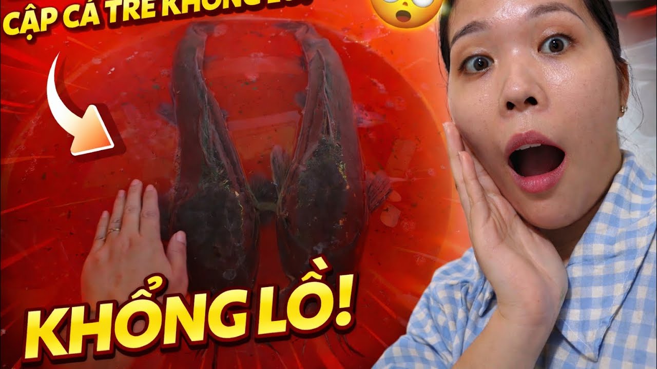 Lần đầu thấy cặp cá trê khổng lồ và nấu món ốc móng tay xào rau muống với mỳ cho cả nhà ăn