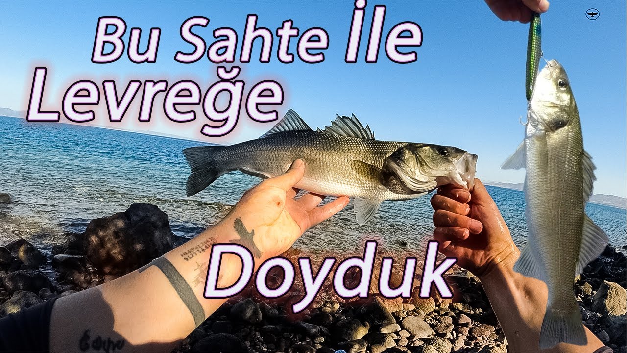 Levrekler Karnımızı Doyurdu Bu hafta