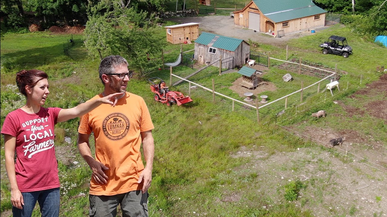 USING Farm Animals to RESTORE an Abandoned Farm & making PASTURES Usable Again