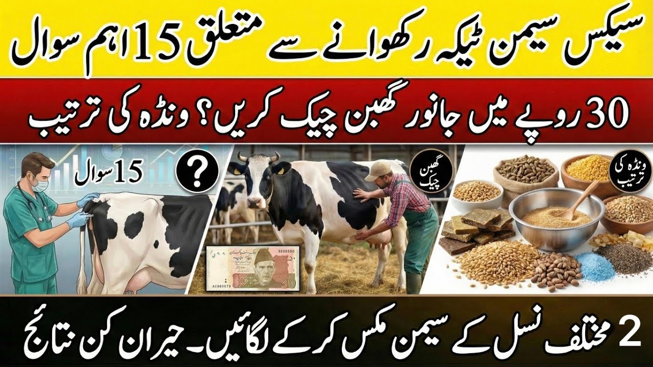 15 important points for سیکس semen II 30 rupee me pregnancy check II Semen mix kr k use krna?