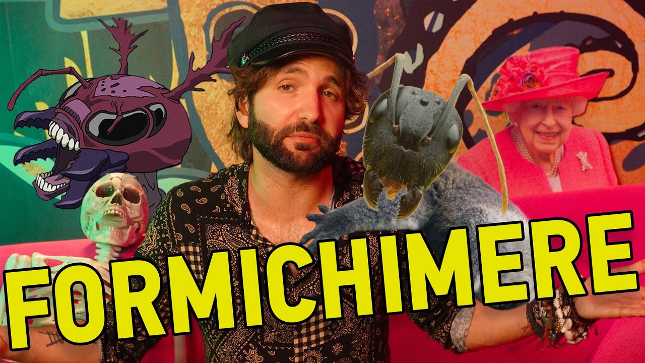 Un mio trip sulle FORMICHIMERE