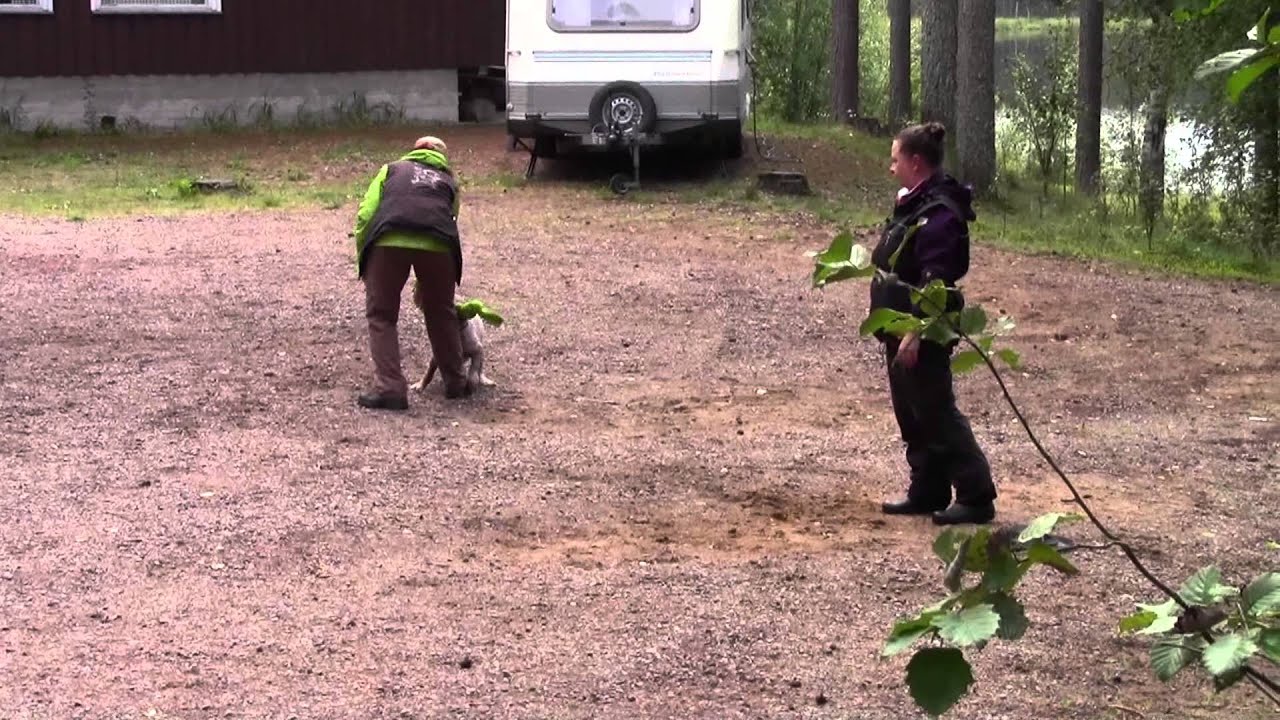 Elmon MH 8: leikki 2 ja ampuminen