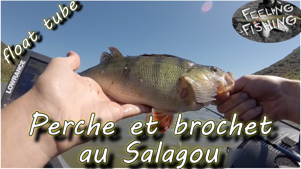 Peche de la perche et du brochet en float tube sur le Lac du Salagou - Gopro HD