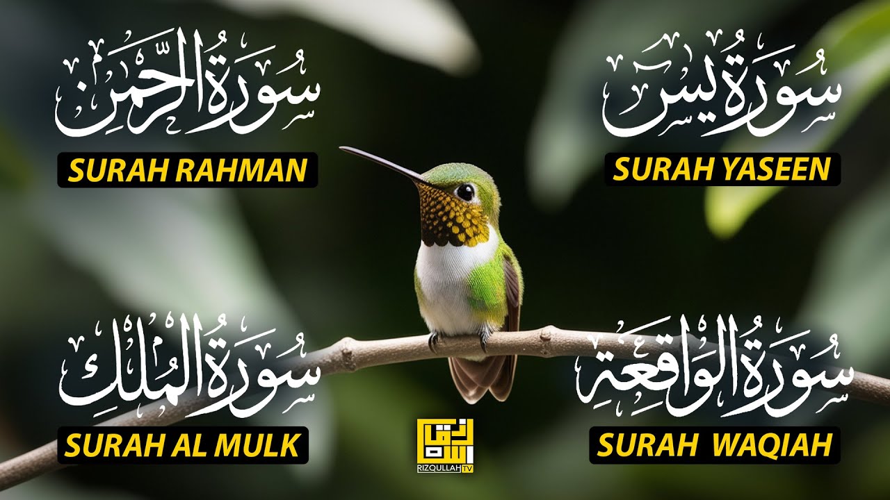 The Best Recitation Surah Yaseen (Yasin) | Surah Rahman | Surah Waqiah | Surah Mulk EP182