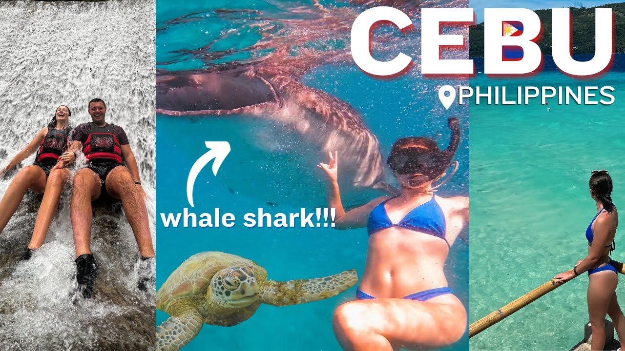3 DAYS IN CEBU PHILIPPINES 2023 | Moalboal & Oslob | Whale Sharks, Canyoneering  Kawasan Falls