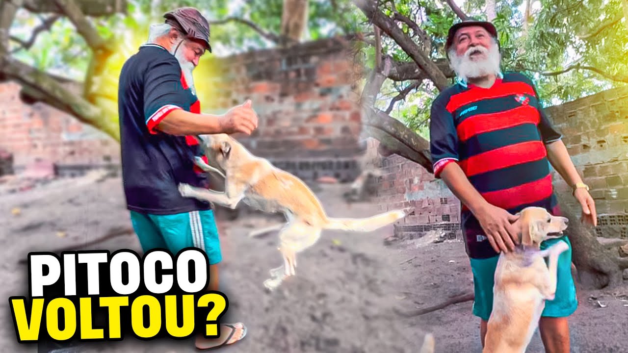 SERÁ QUE PITOCO VOLTOU PRA O SÍTIO? | MANETIKIN 