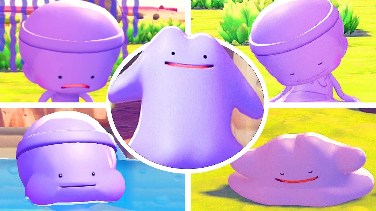 Pokémon Pokopia - All Ditto Animations (4K)