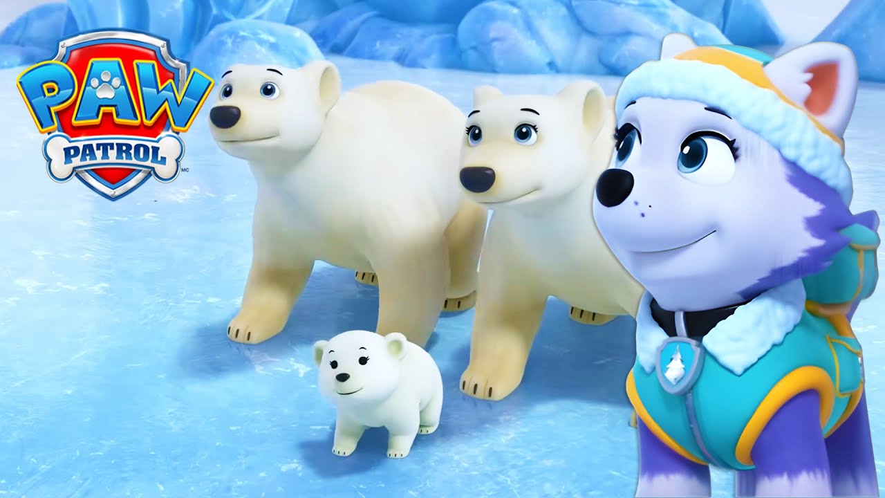 An Arctic Mission! 🐻‍❄️ - PAW Patrol - Cartoons for Kids