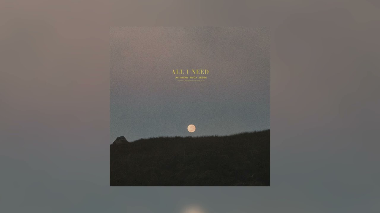 All I Need - Avi Snow, Zeeba & MVCA