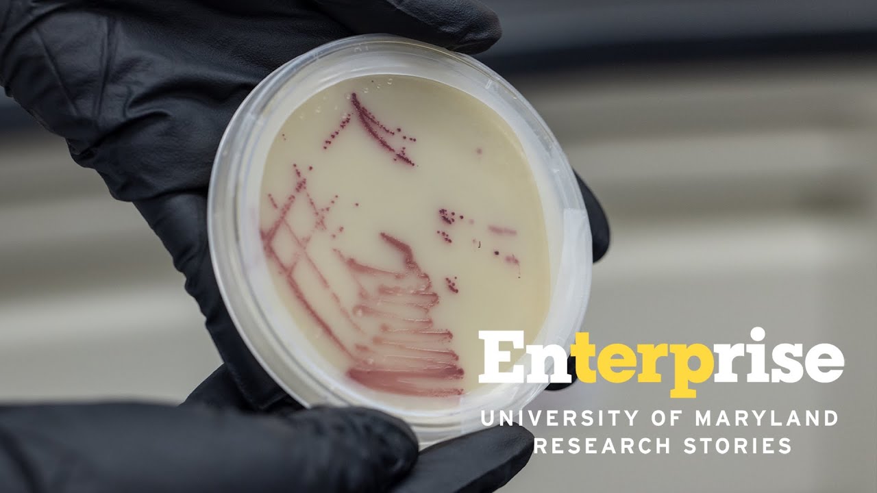 Keeping Maryland’s Water Safe | Enterprise Research Stories