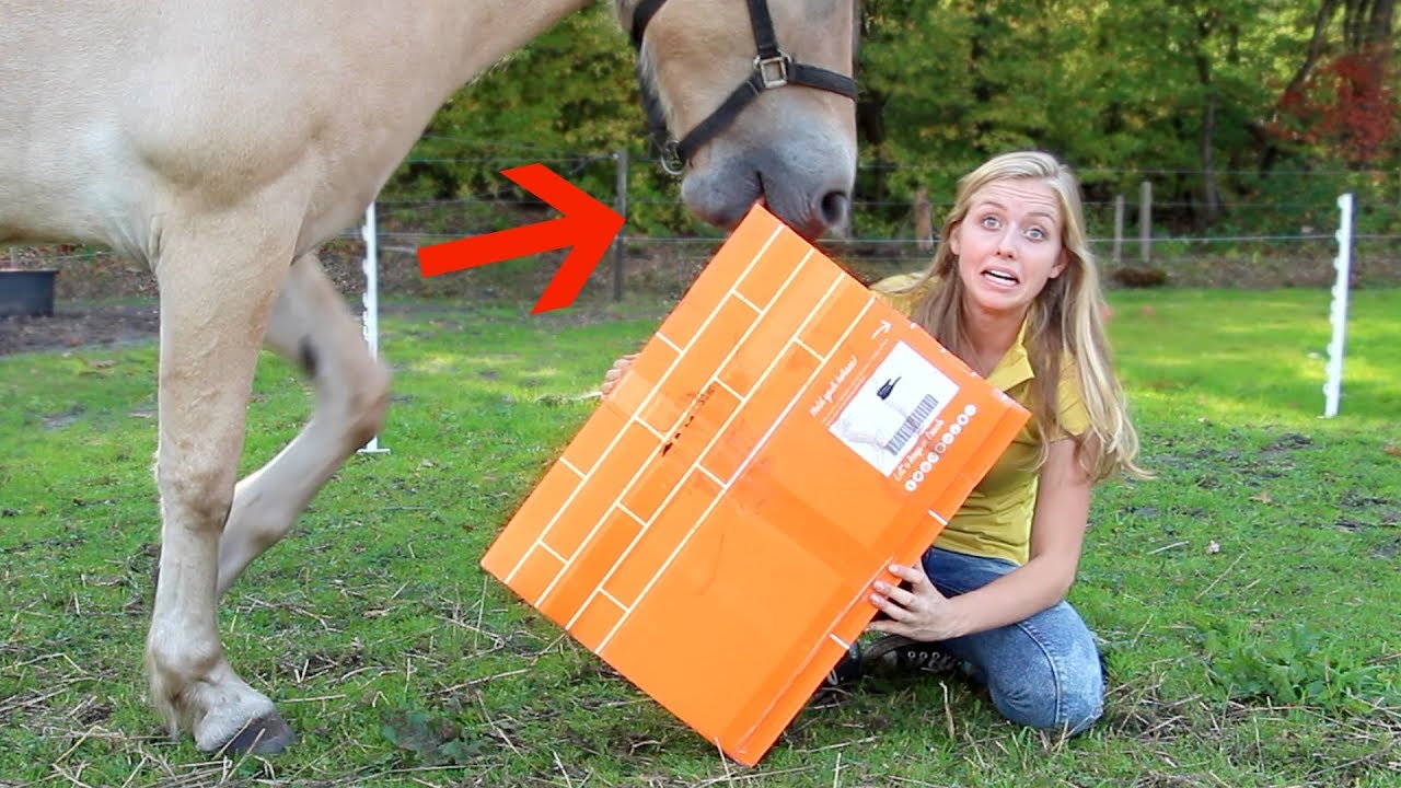 Mijn paard VERSTOORT de Epplejeck UNBOXING! + WINACTIE