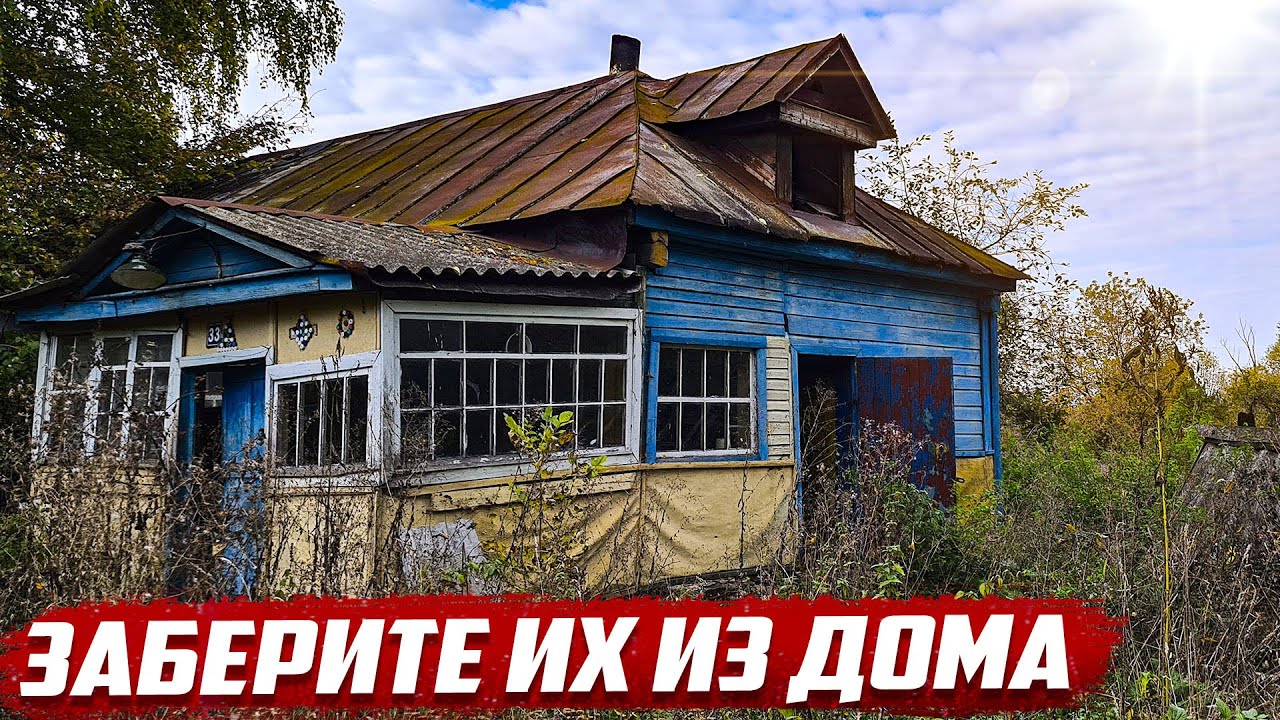 Почему их бросают!? | Орловская обл, Колпнянский р-он д.Черниково