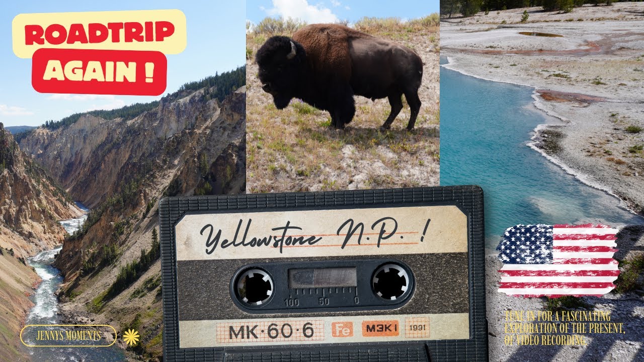 USA ROADTRIP AGAIN! INSIDE YELLOWSTONE National Park 🇺🇸