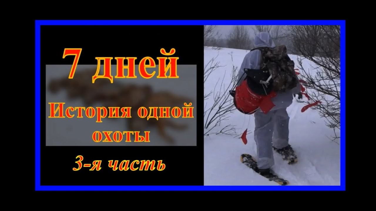 Охота на волков с флажками (3-я часть) - "Первый загон."