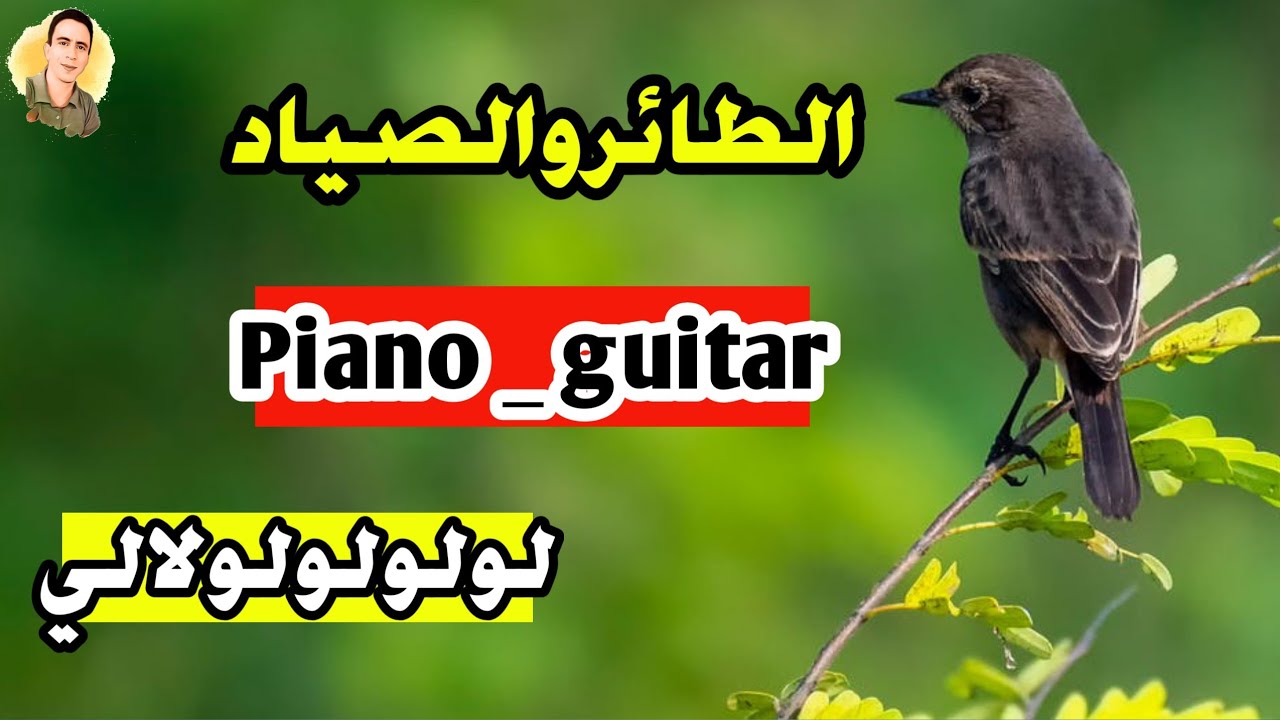 لو لو لو  🦜🦜الطائر الصياد 🦜🦜 موسيقى هادئة 🎧🎶 karaoke