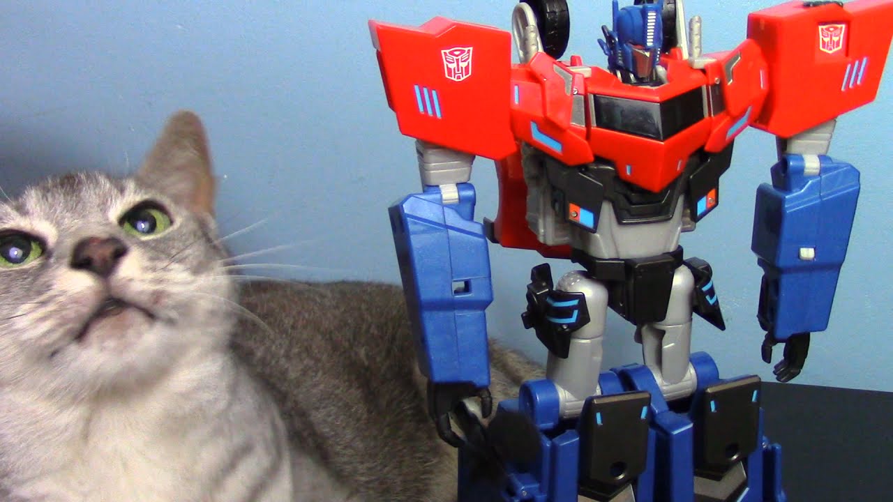 Four minutes of Optimus talking to himself. And Lucy.