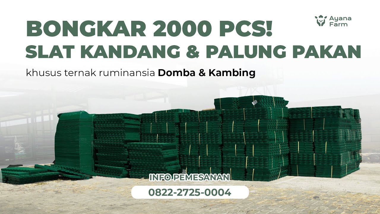 BONGKAR PALUNG PAKAN DAN SLAT PLASTIK UNTUK PEMBUATAN KANDANG DOMBA MODERN