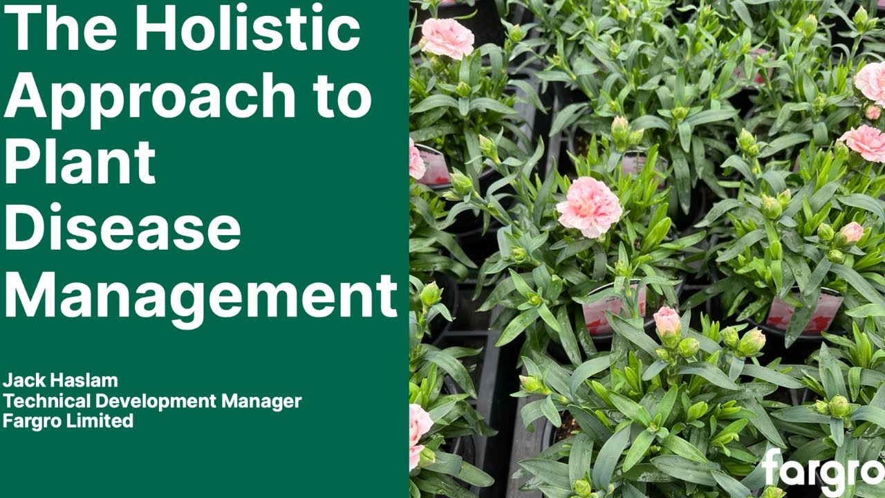 The Holistic Approach to Plant Disease Management