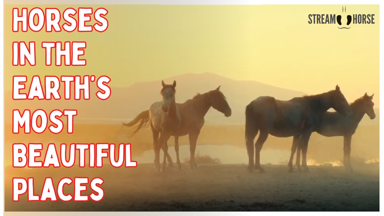 Horses Moving Through the Earth’s Most Beautiful Places