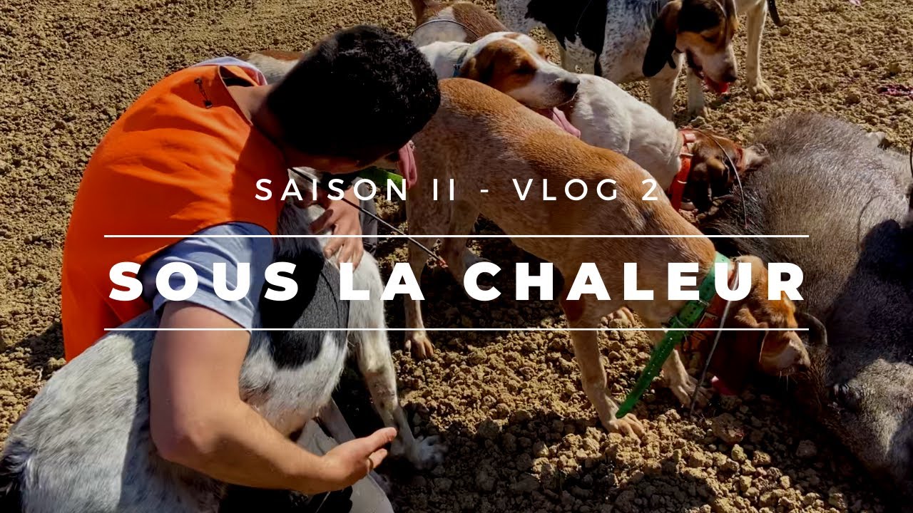 VLOG 2 - Sous la chaleur